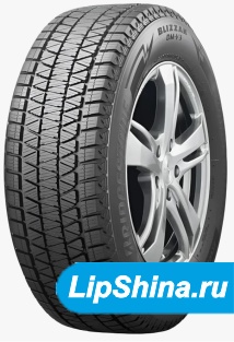 Blizzak DM-V3