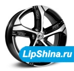 RPLC Chr2 19/7J 5x108 ET 33 Dia 60.1 BFP