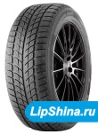 275/40 R20 Doublestar DW09 106V