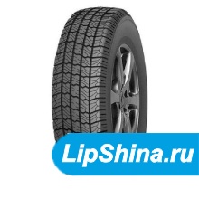 Forward Professional 170