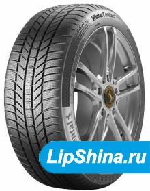 ContiWinterContactTS870