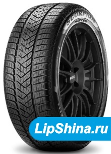 Scorpion Winter Elect