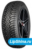 225/60 R17 Nankang SW-8 103T