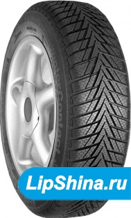 ContiWinterContact TS800