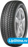 245/45 R17 Gripmax SureGrip eWinter 99V