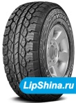 245/65 R17 Rydanz Raptor R09 107H