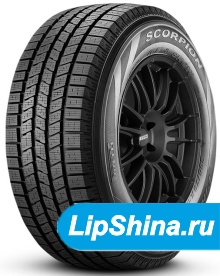 Scorpion Ice and Snow